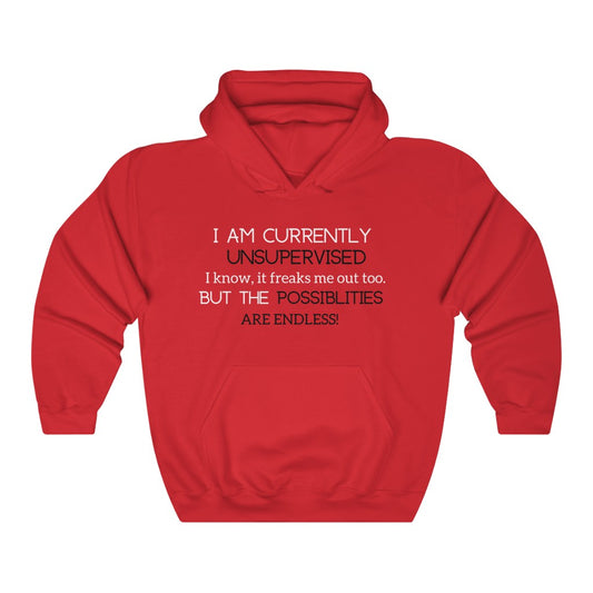 I am currently Unsupervised [White & Black] Unisex Heavy Blend™ Hooded Sweatshirt